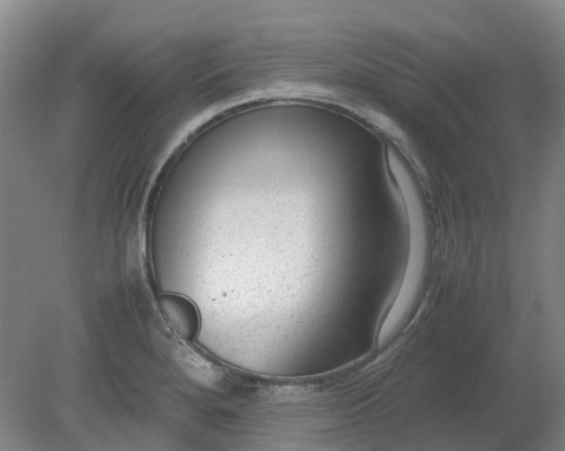 X0000079321280200612011833