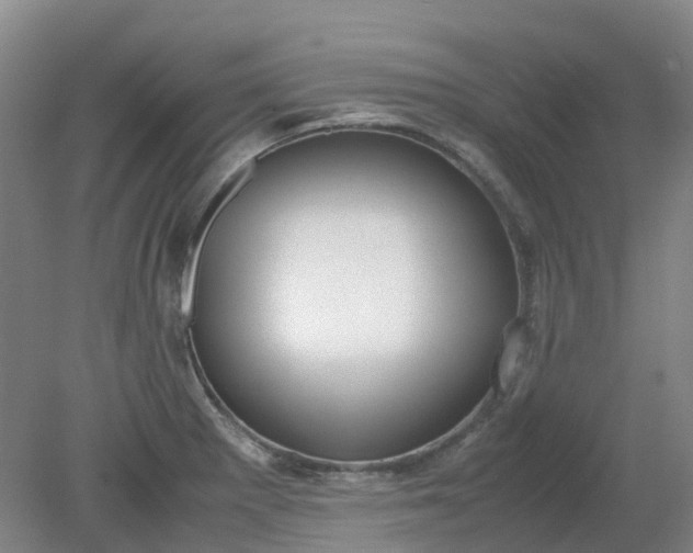 X0000079321281200612011833