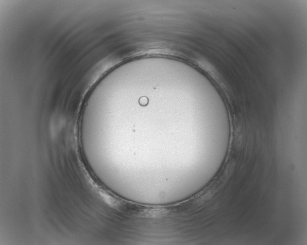 X0000079321282200612011833