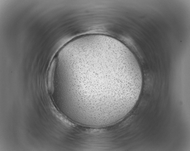 X0000079321284200612011832