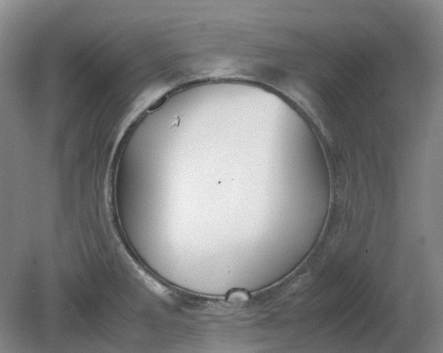 X0000079321285200612011832