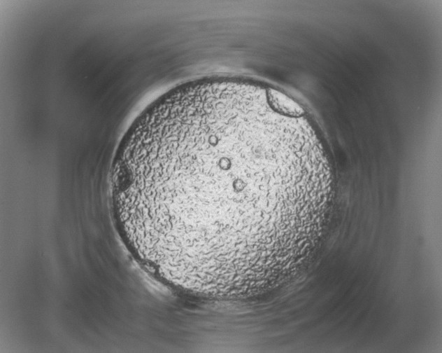 X0000079321287200612011832