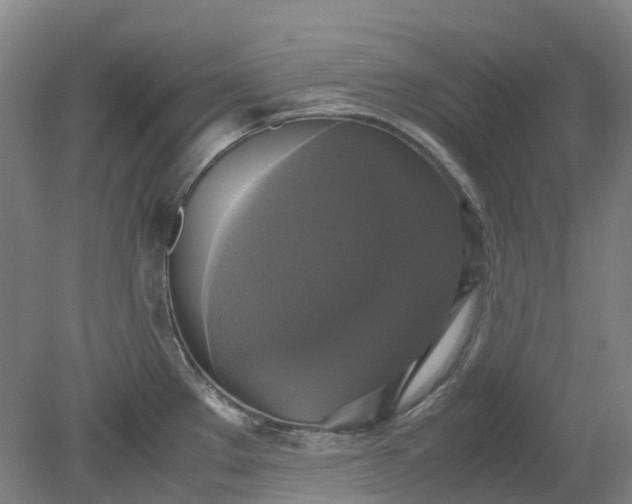 X0000079321289200612011832