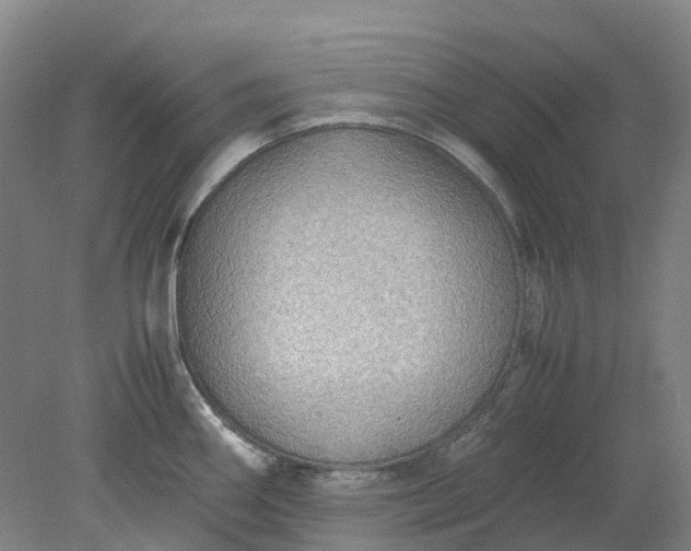 X0000079321290200612011832