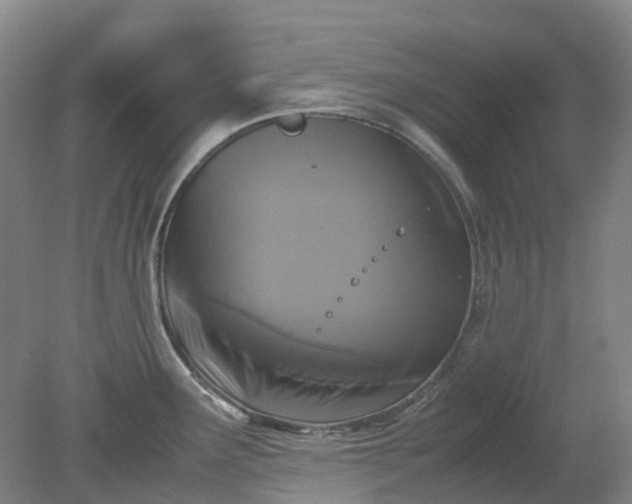 X0000079321291200612011832