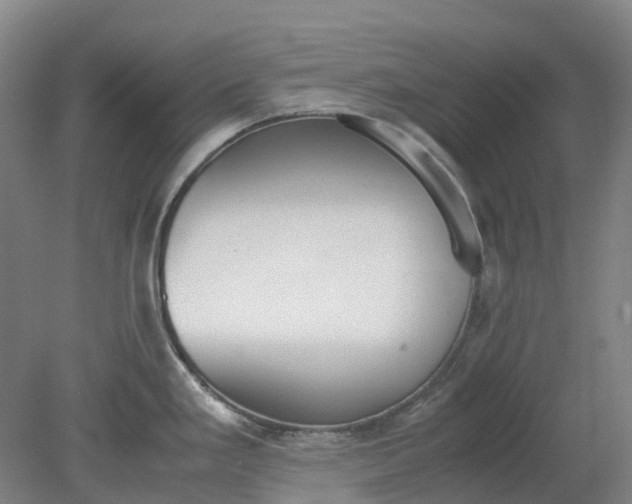 X0000079321293200612011832