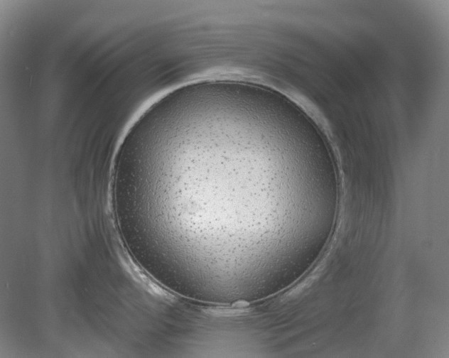 X0000079321296200612011832