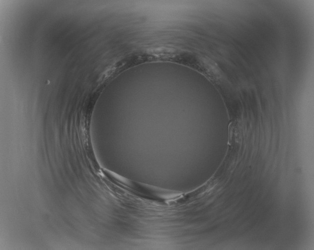 X0000079321298200612011831