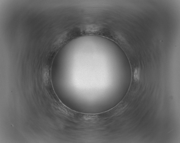 X0000079321299200612011832