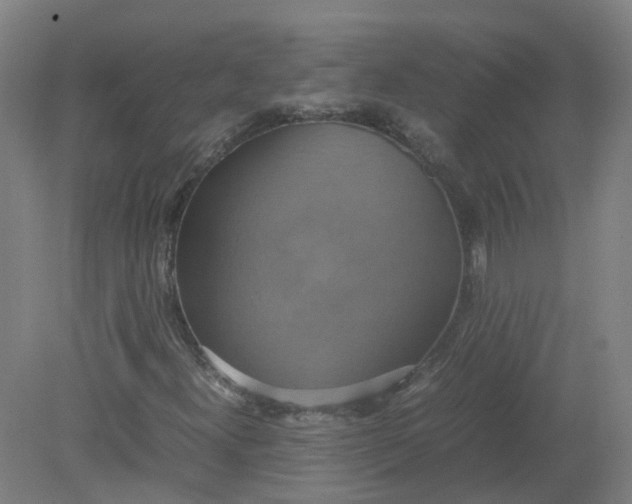 X0000079321300200612011832