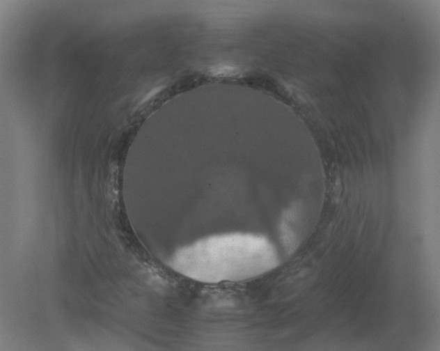 X0000079321301200612011832