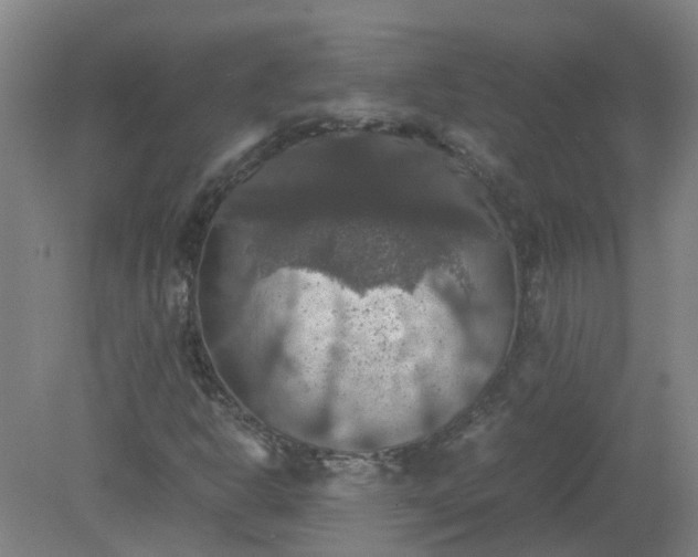 X0000079321302200612011832