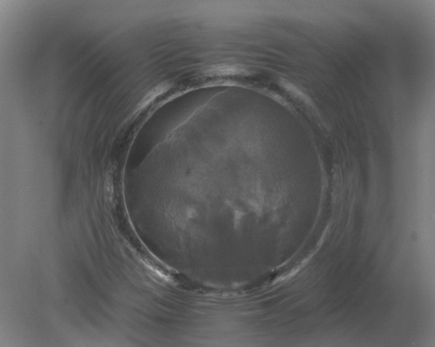 X0000079321305200612011832