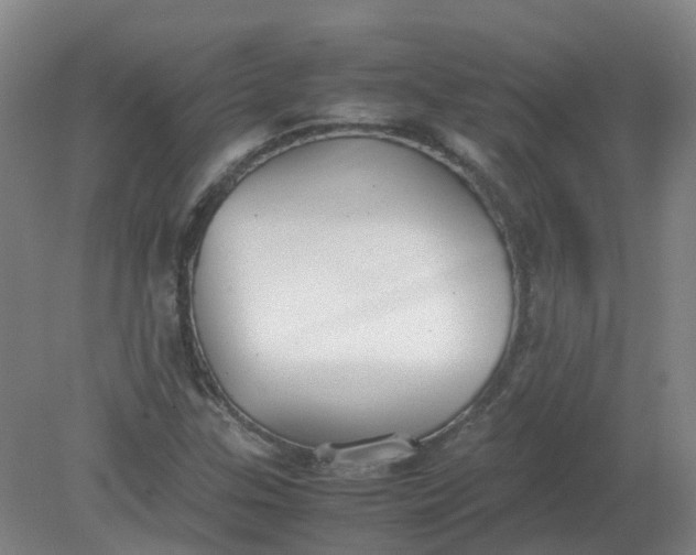 X0000079321307200612011832