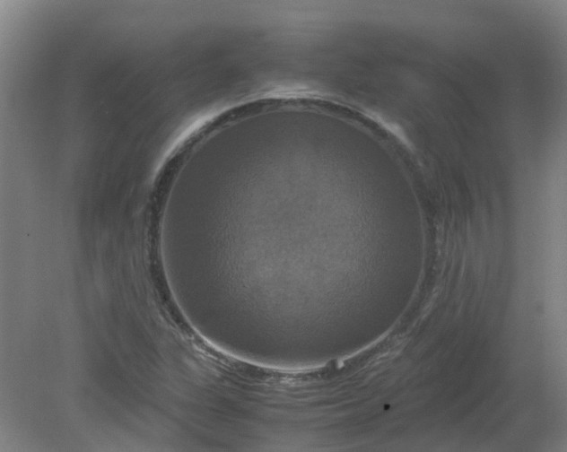 X0000079321311200612011832