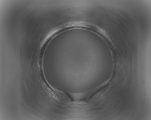 X0000079321312200612011832