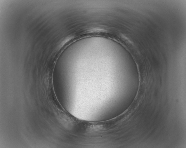 X0000079321313200612011832