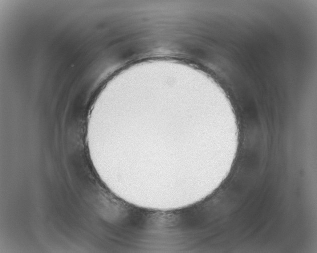 X0000079321314200612011832