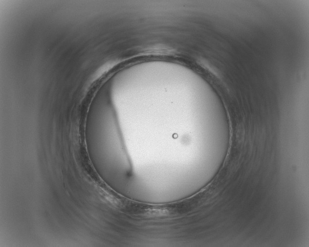 X0000079321315200612011832