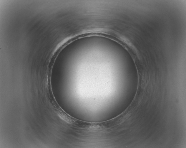 X0000079321316200612011832