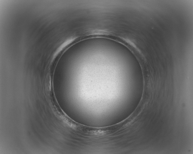 X0000079321317200612011832