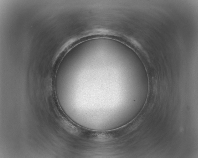 X0000079321318200612011832