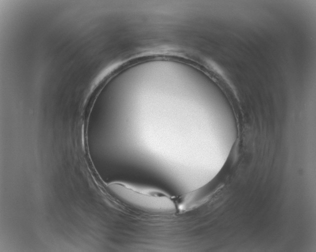 X0000079321320200612011832