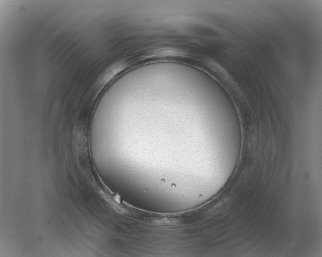 X0000079321321200612011832