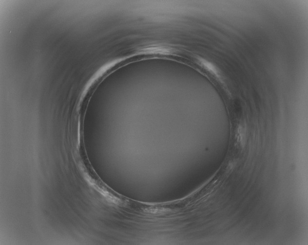 X0000079321323200612011832