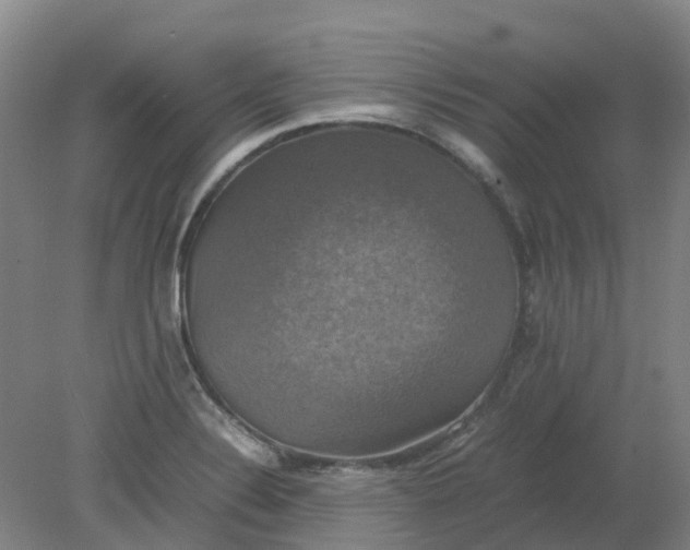 X0000079321324200612011832