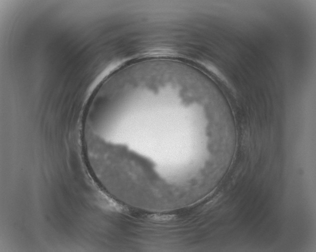 X0000079321325200612011832