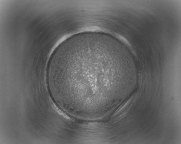 X0000079321326200612011832