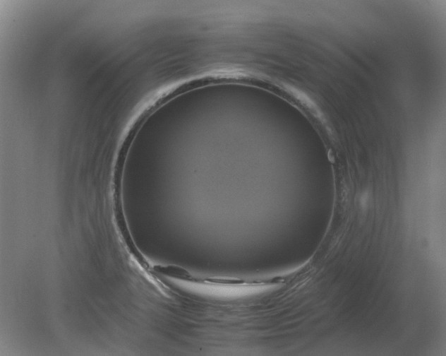 X0000079321327200612011832