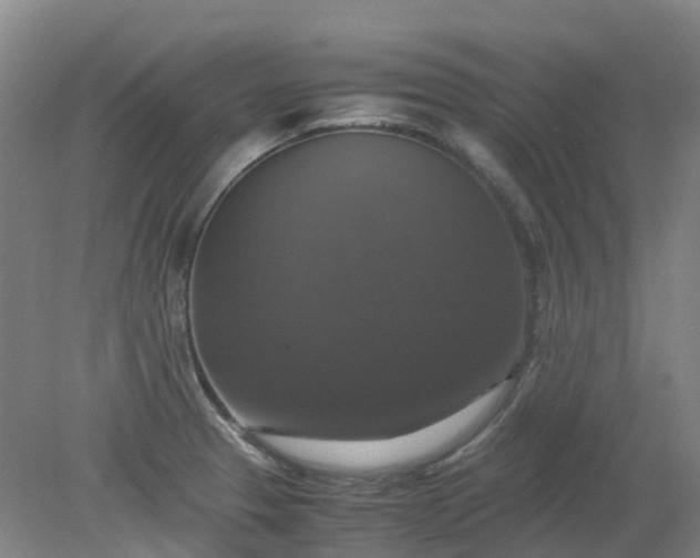 X0000079321329200612011832