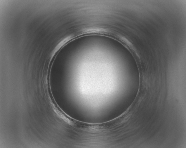 X0000079321330200612011832