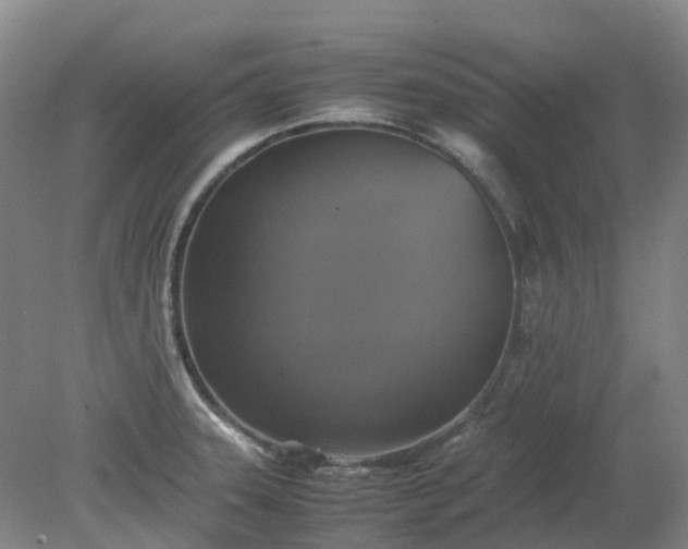 X0000079321331200612011832