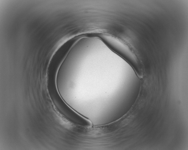 X0000079321332200612011832