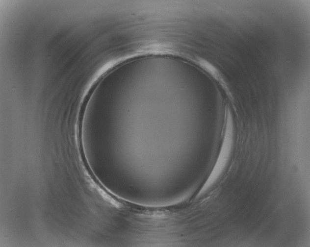 X0000079321334200612011832