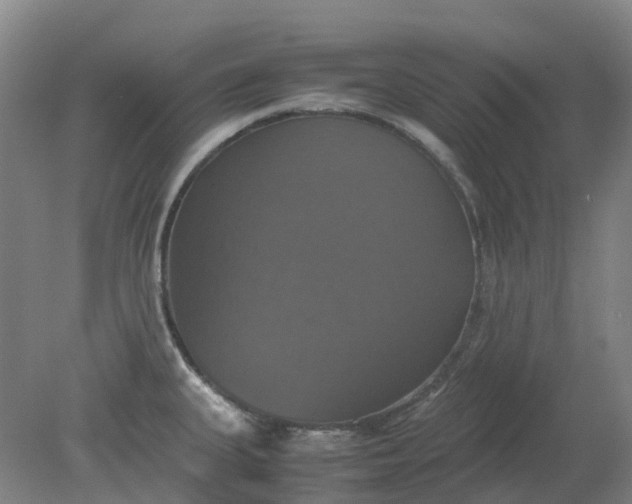 X0000079321335200612011832