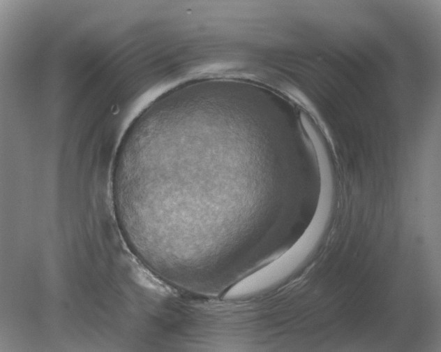 X0000079321336200612011832