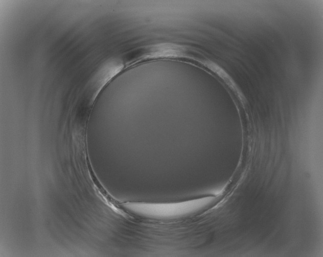 X0000079321337200612011832