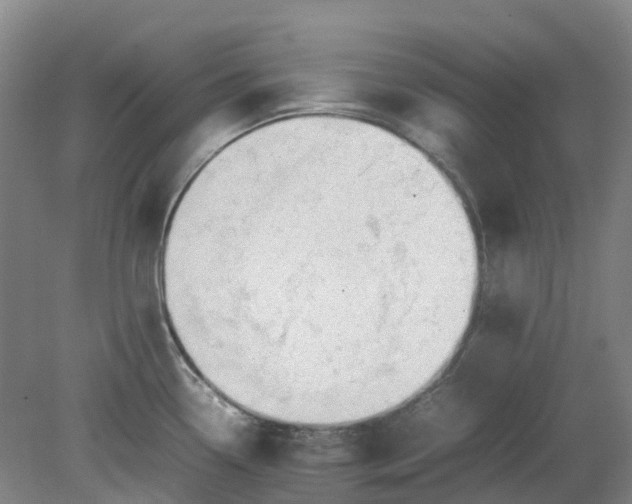 X0000079321338200612011832