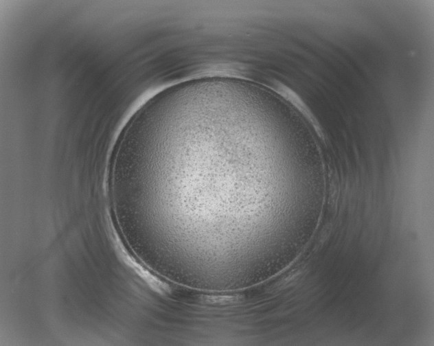 X0000079321339200612011832