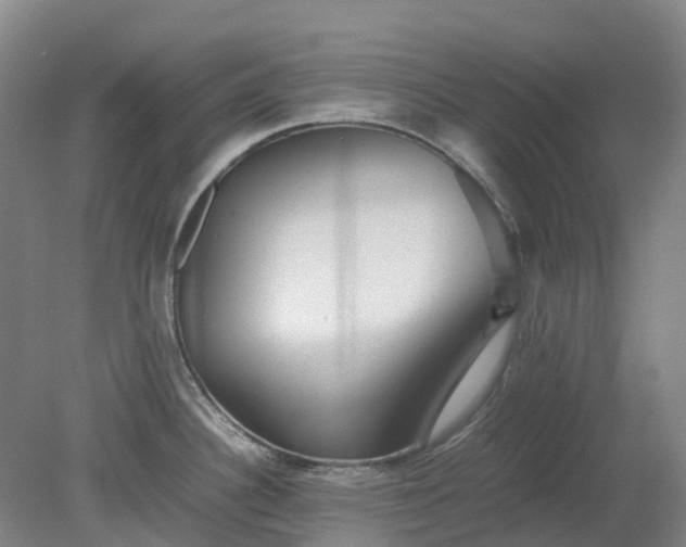 X0000079321340200612011832