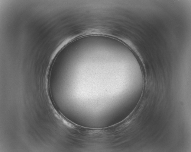 X0000079321341200612011832