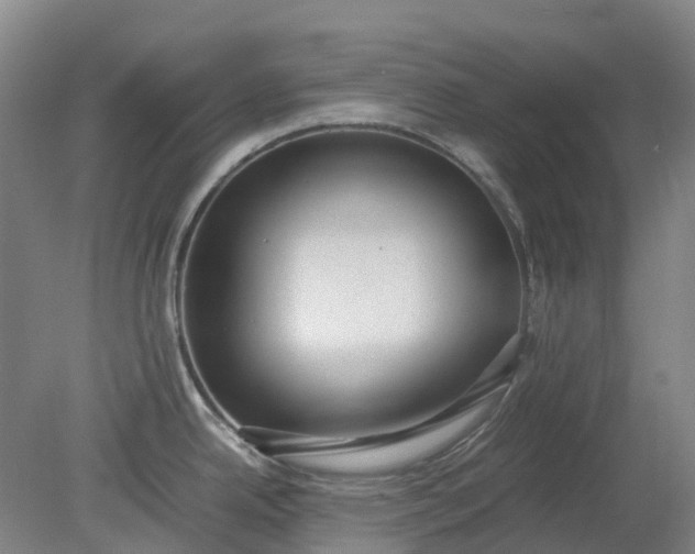 X0000079321342200612011832