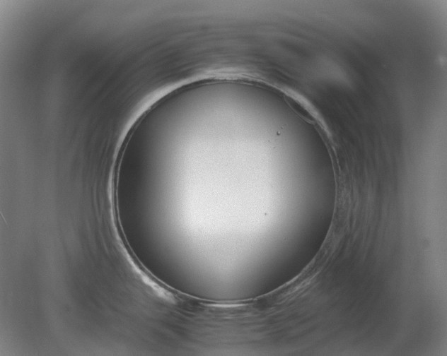 X0000079321343200612011832