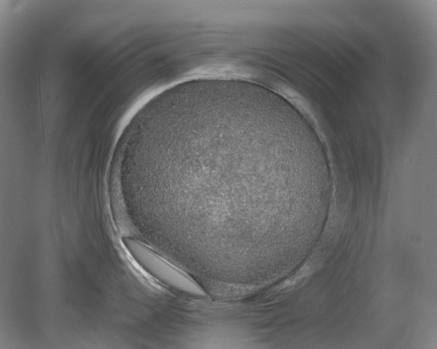 X0000079321344200612011832