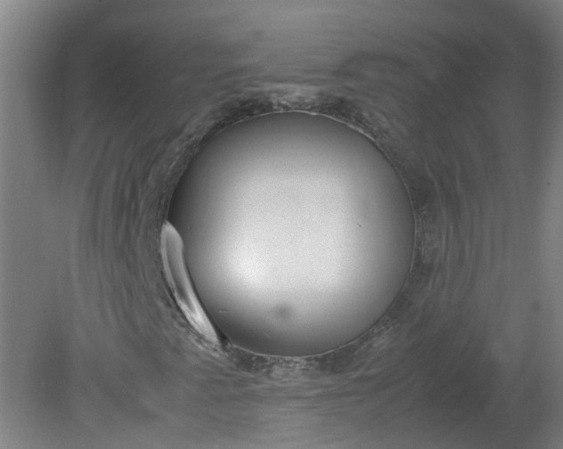 X0000079321345200612011831