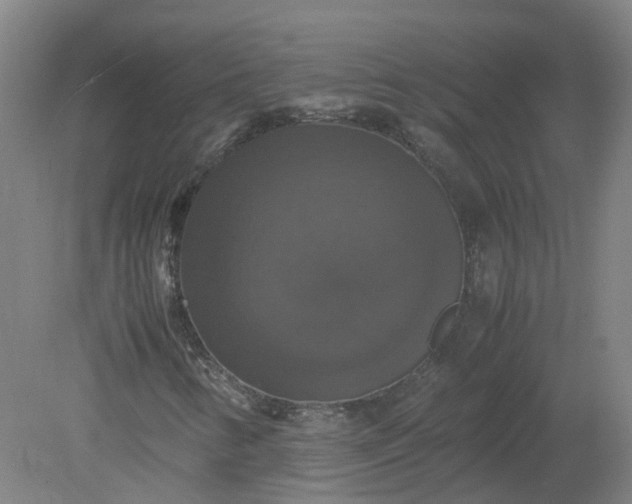 X0000079321346200612011831